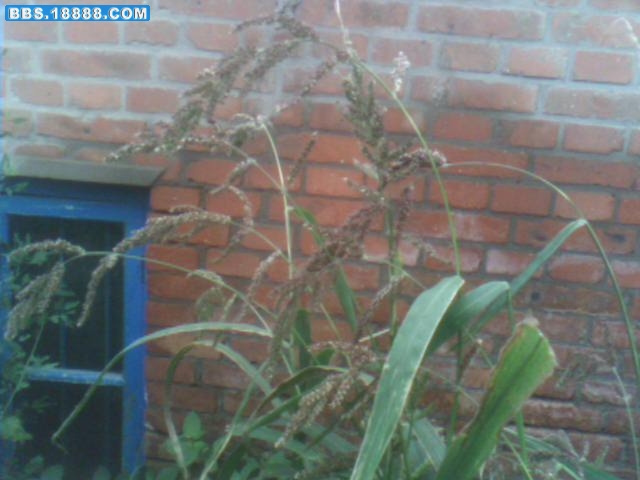 0829064925.jpg