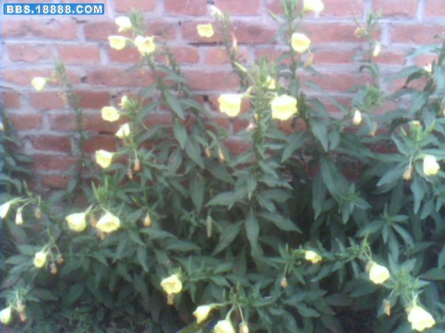 0829064606.jpg