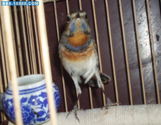 照片 090.jpg