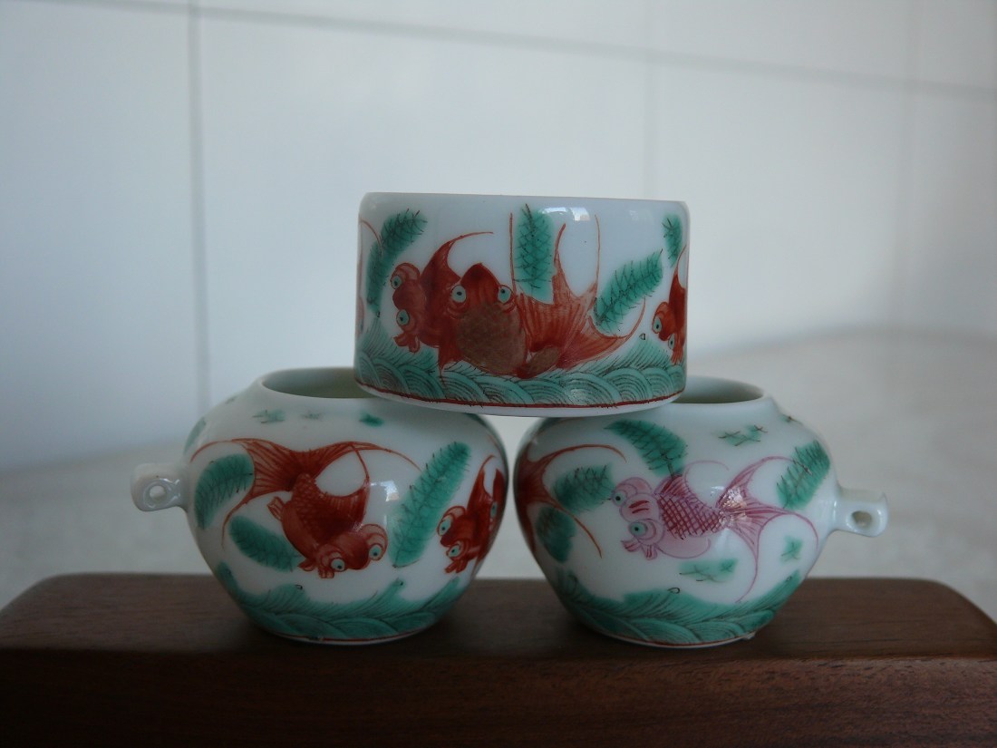 杂草鱼 (8).jpg