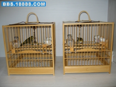 照片鸟 114.jpg