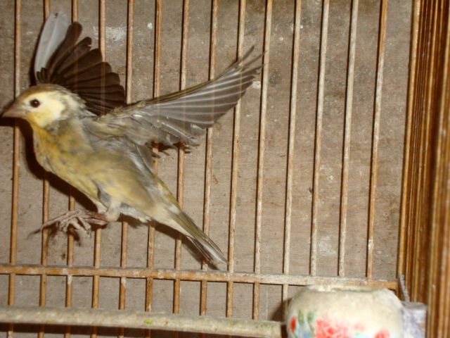 DSC00578.jpg