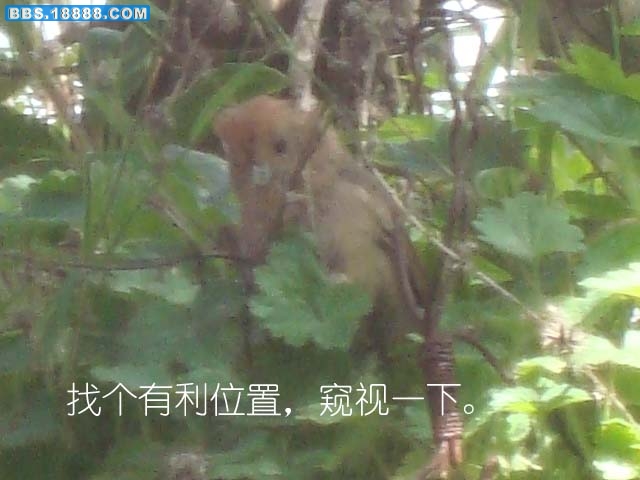 DSC03315.jpg