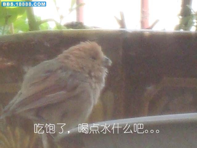 DSC03321.jpg