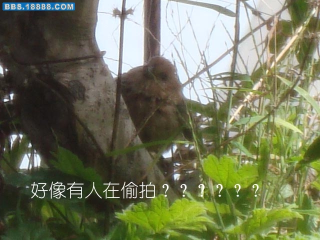 DSC03325.jpg