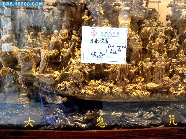 DSCN0615.JPG