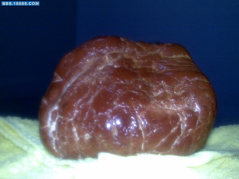 20090831542.JPG