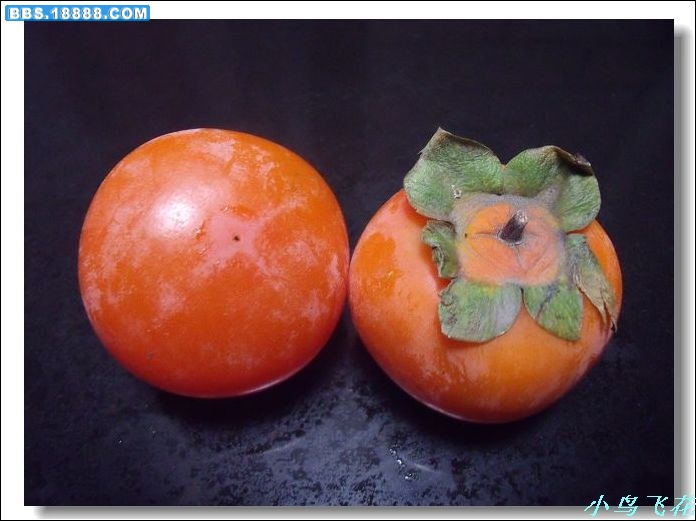 DSCF3182.jpg