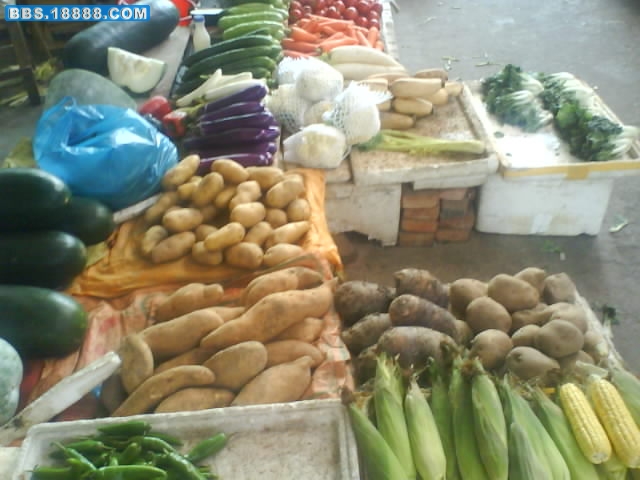 DSC00352.JPG