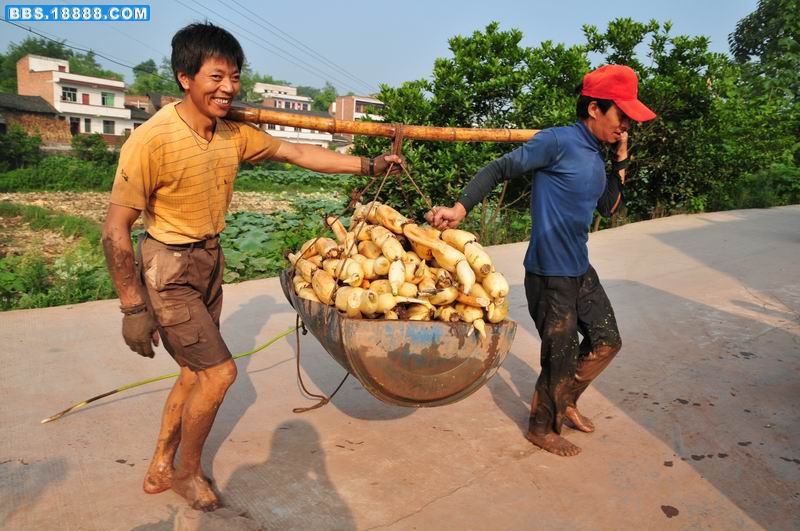调整大小 照片 495.jpg