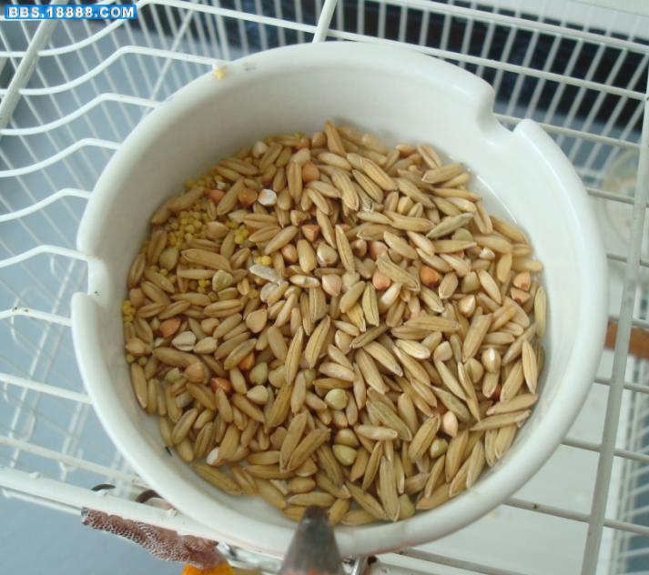 静脉注射.jpg