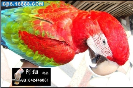 未命名2.jpg