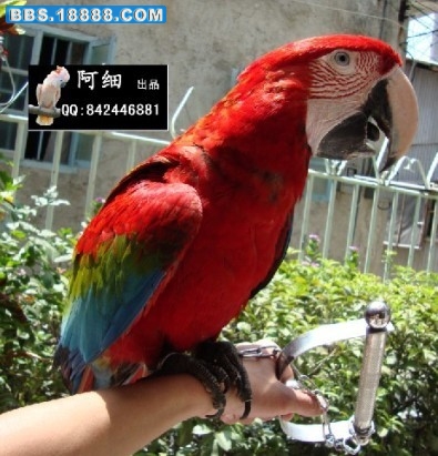 未命名.jpg