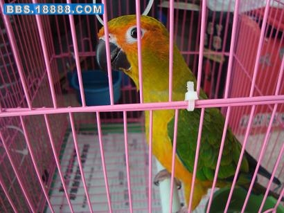 DSC01406.JPG