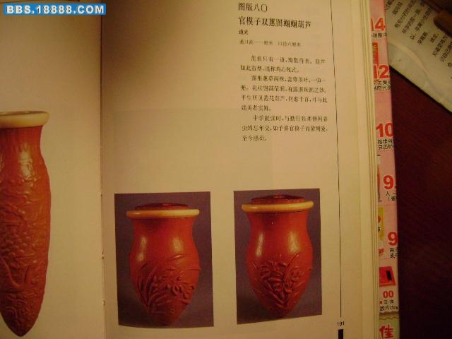 DSC01347.JPG
