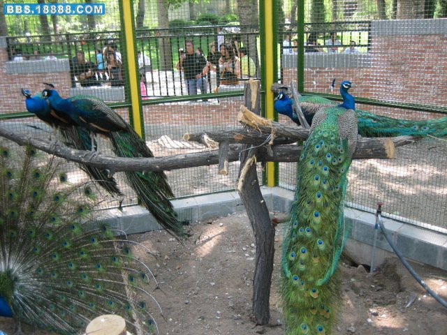 IMG_0004.jpg