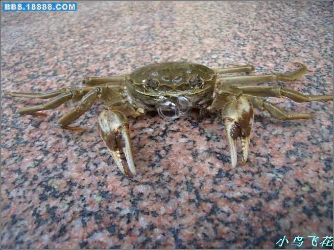 DSCF3286.jpg