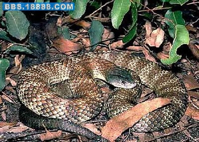 Img221105823.jpg