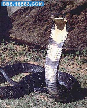 Img221105844.jpg