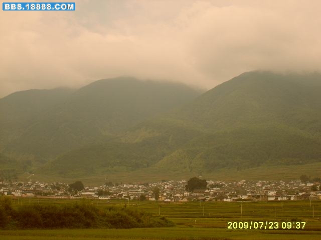 S5003422.jpg