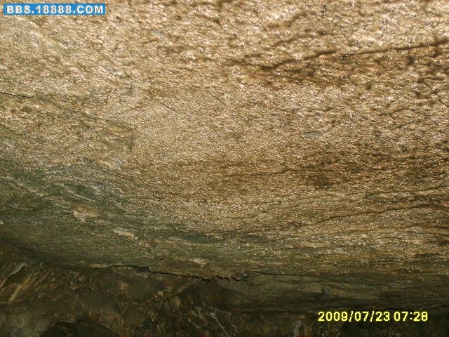 S5003346.jpg