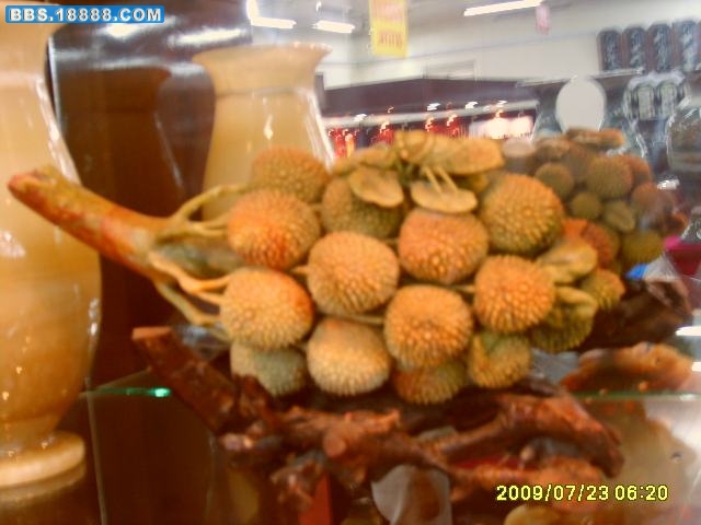 S5003274.jpg