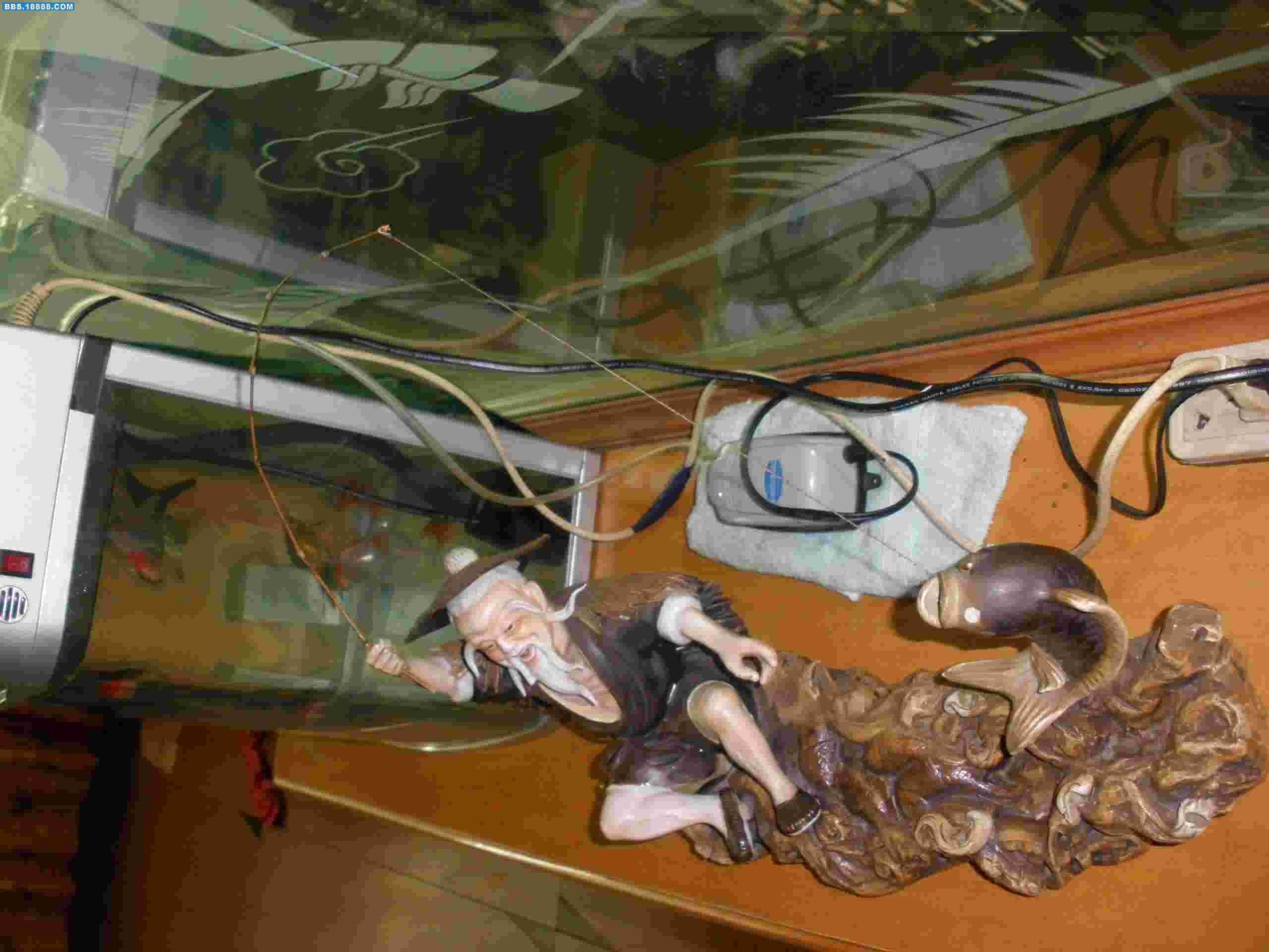 7.JPG