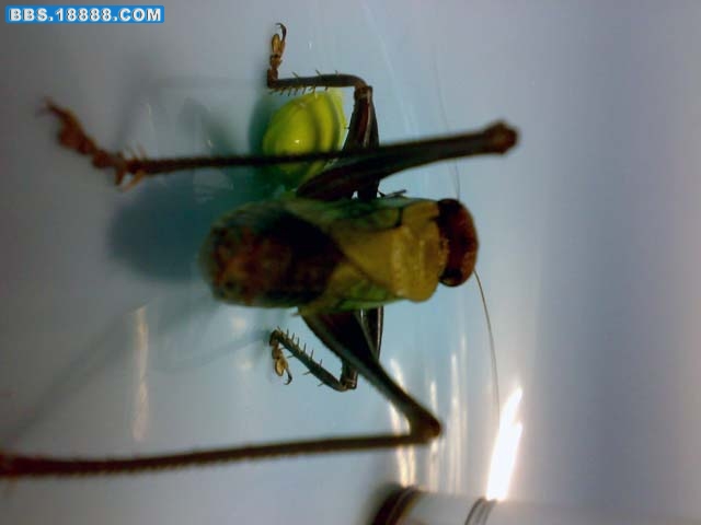 20090906005.jpg