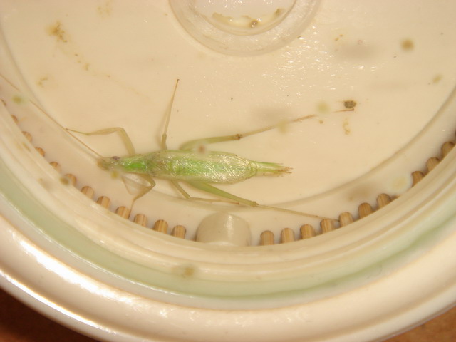 DSC03187.JPG