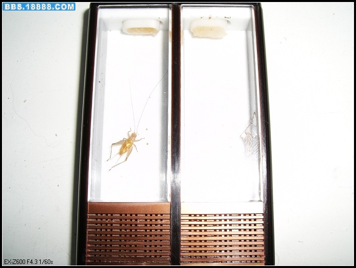 CIMG1623_nEO_IMG.jpg