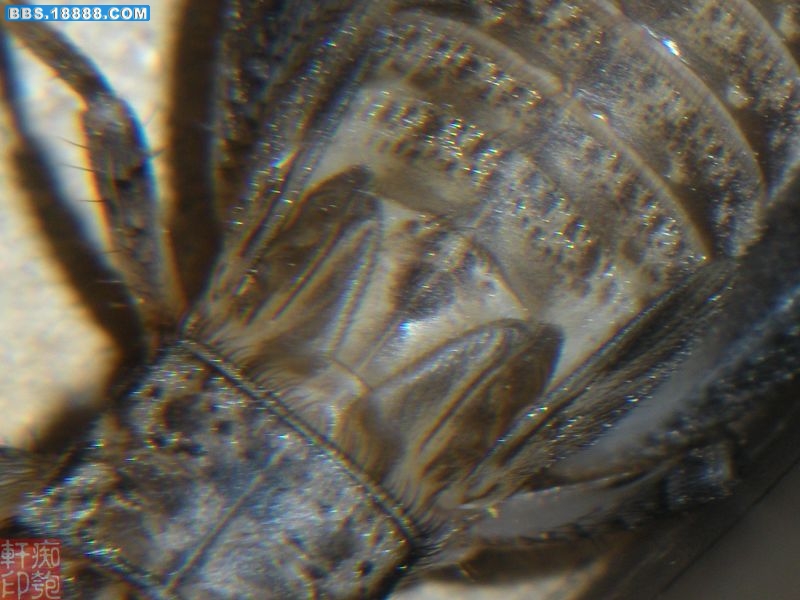 DSCN2439.jpg
