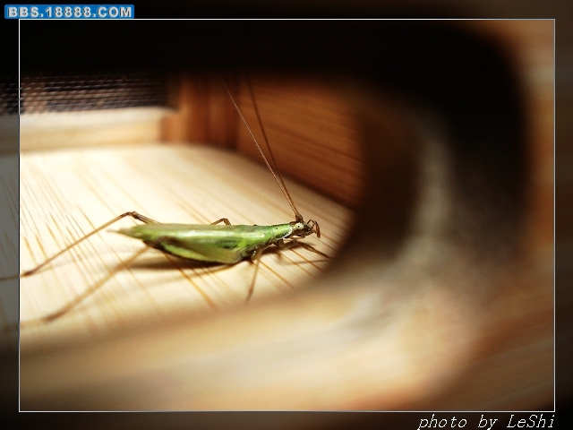 DSC05952.JPG