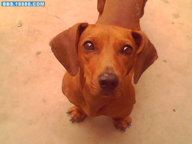 IMG0361A.jpg