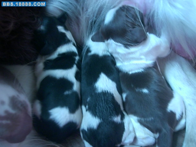 DSCN9142.JPG