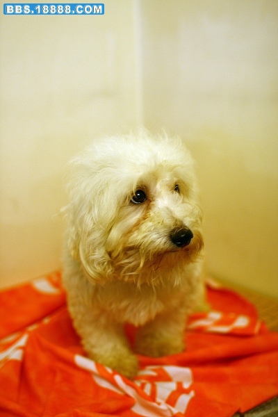 小熊_5164.jpg
