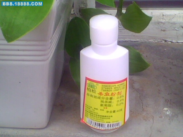 IMG0374A.jpg