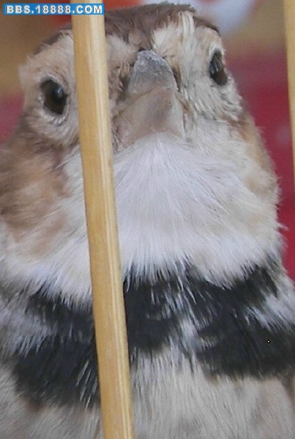 100_2946G.jpg