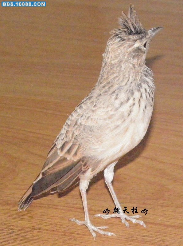 P9150149==.jpg