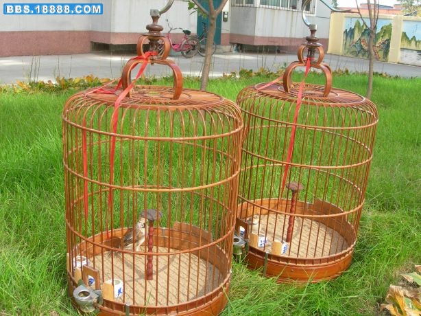 长白山照片 127.jpg