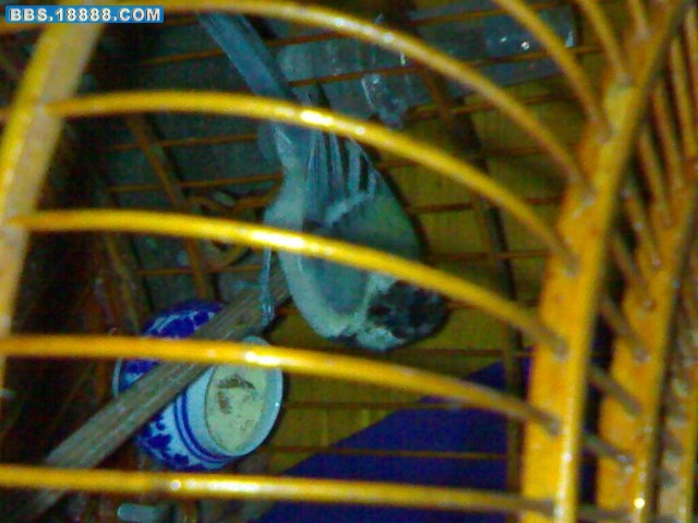 20090911781.jpg