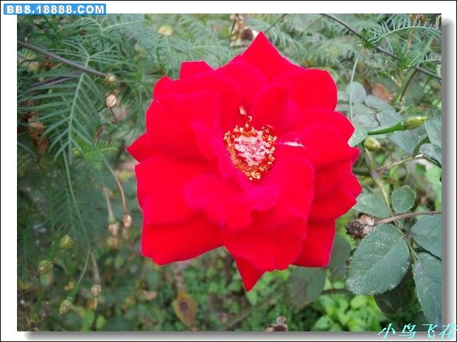 DSCF3402.jpg