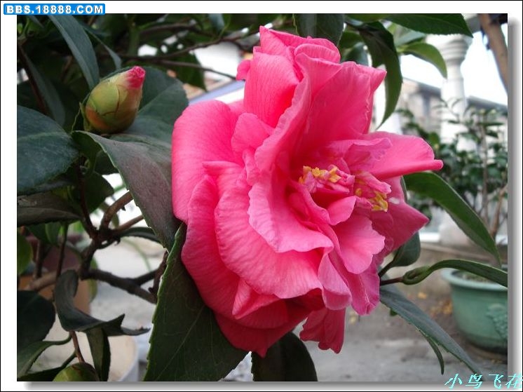 DSCF3562.jpg