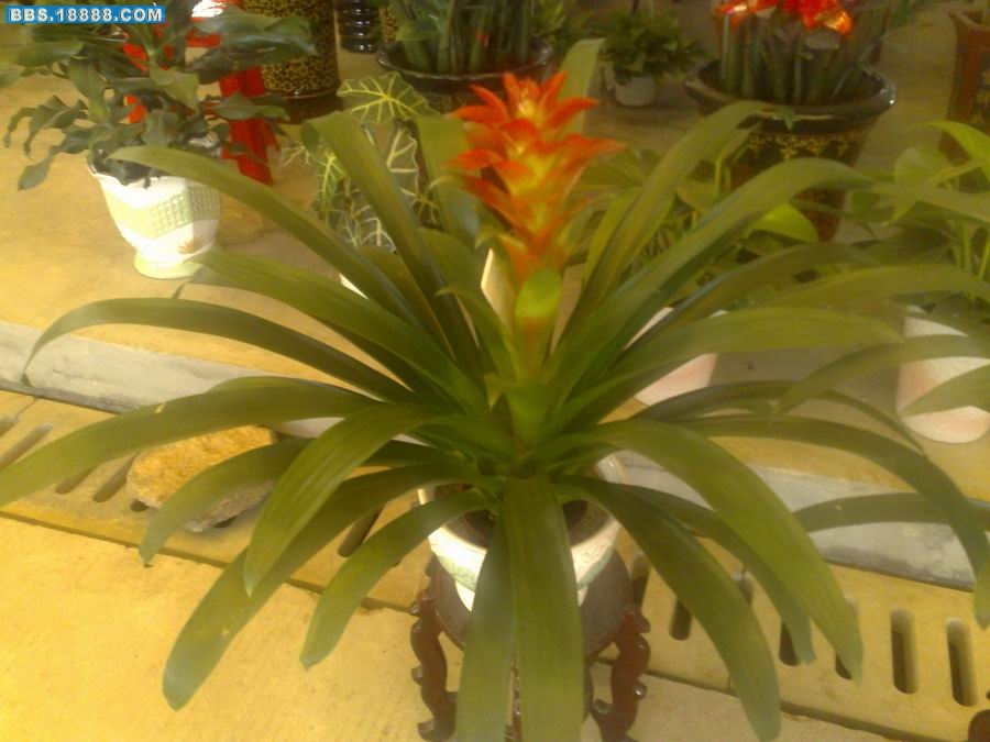 200910141167.jpg