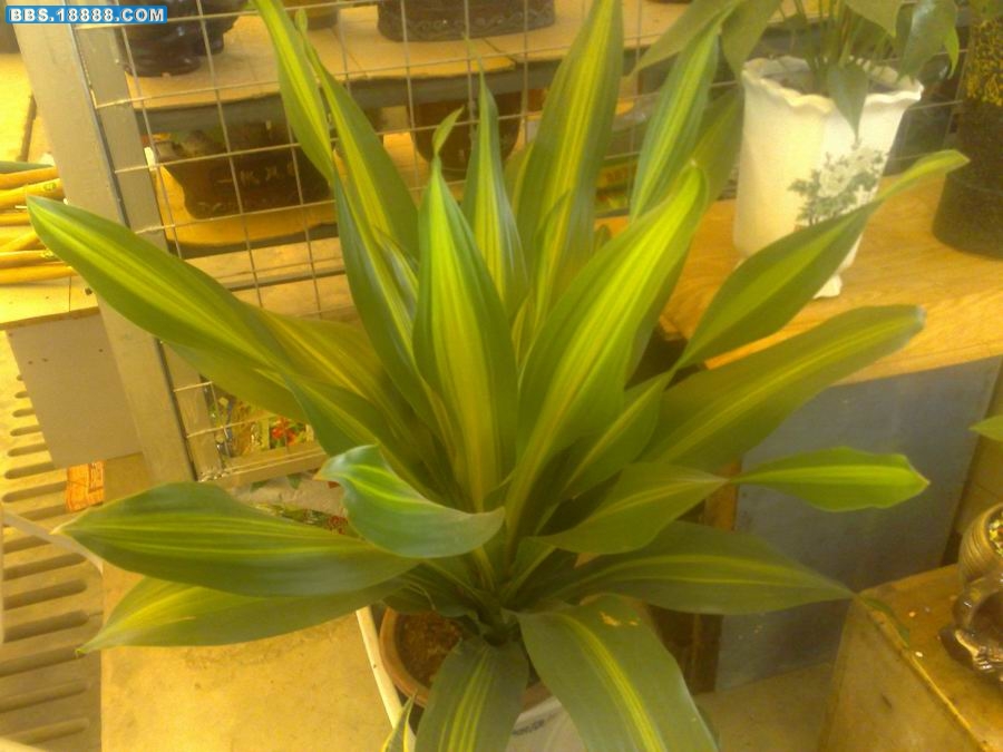 200910141201.jpg