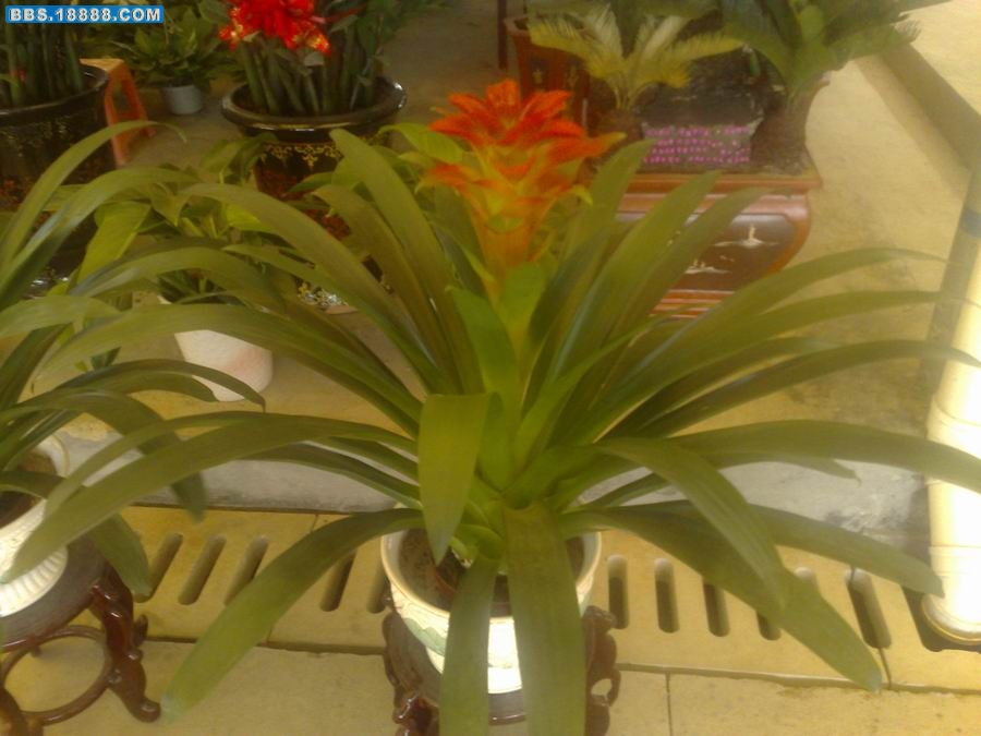 200910141168.jpg