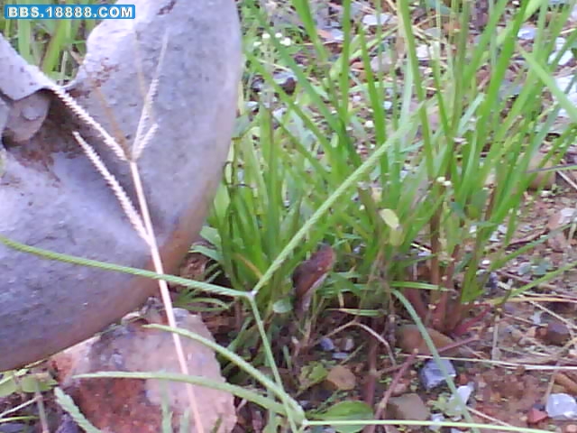 照片0730.jpg