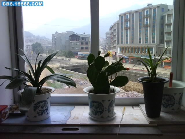 照片0807.jpg