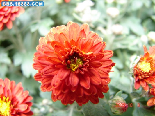 DSC02098_缩小大小.JPG