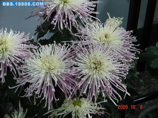 DSC02103_缩小大小.JPG
