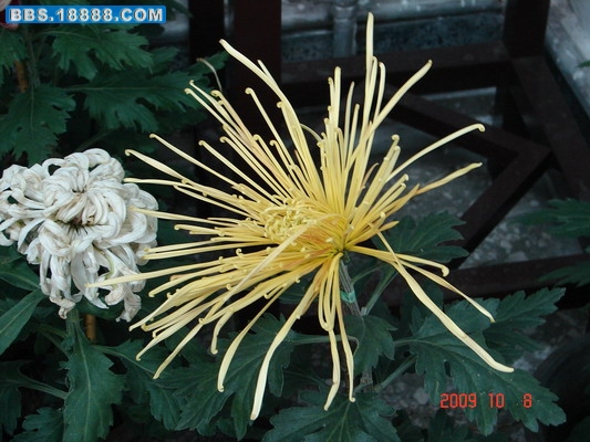 DSC02112_缩小大小.JPG